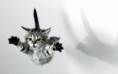 /album/dieren/falling-kitten-jpg/